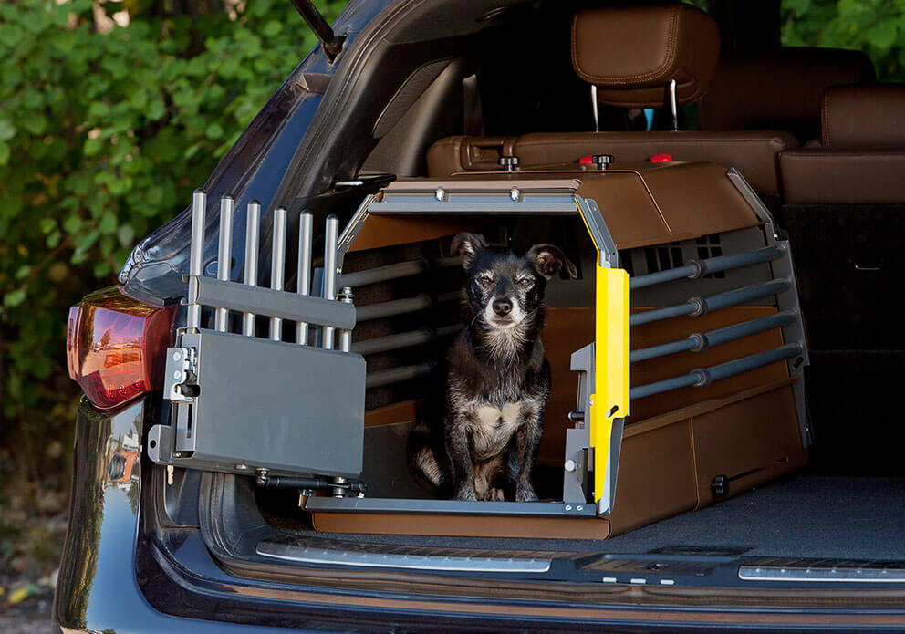 MIM Safe - Variocage MiniMax - Crash Tested Crate
