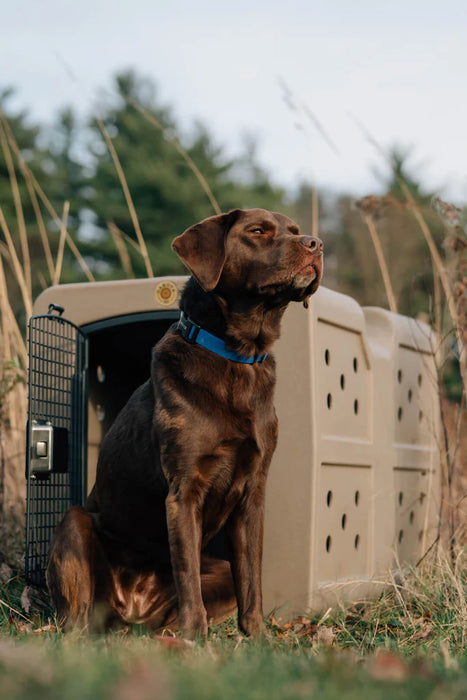 Dakota 283 - G3 Framed Door Kennel - Portable Dog Travel Crate