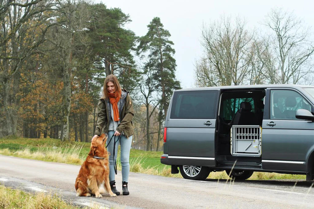 MIM Safe - MultiCage Transport Kennel