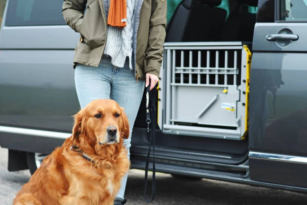 MIM Safe - MultiCage Transport Kennel