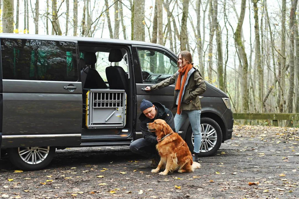 MIM Safe - MultiCage Transport Kennel
