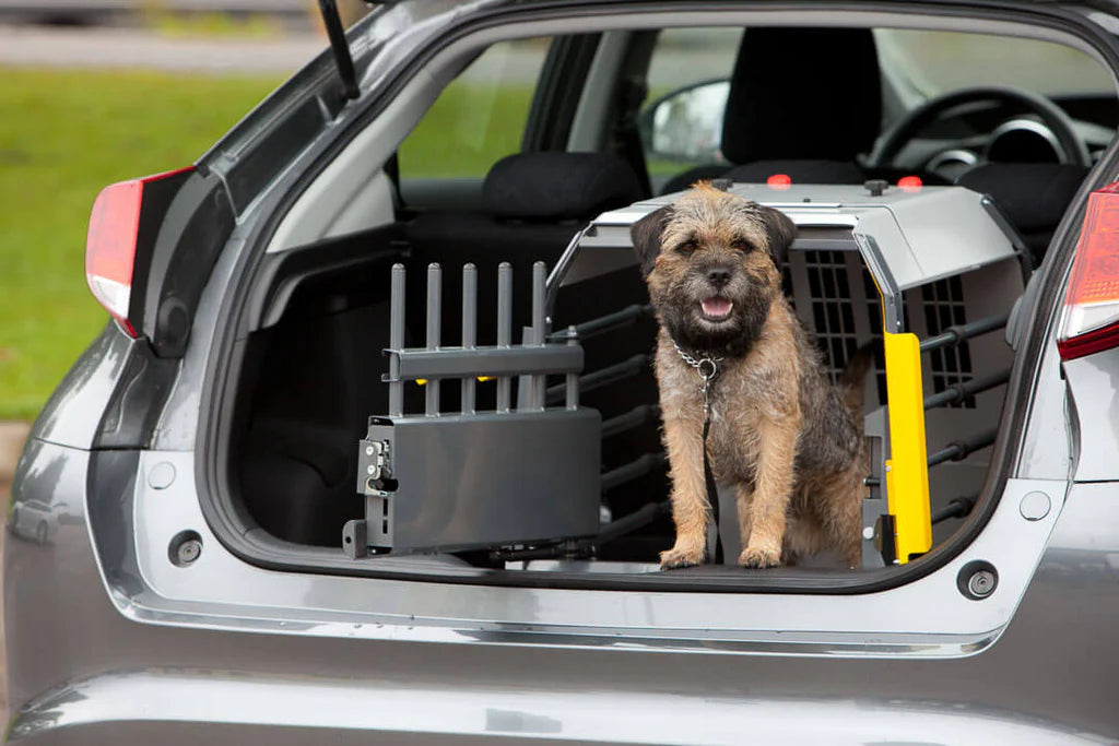 MIM Safe - Variocage Compact - Crash Tested Crate for Hatchbacks