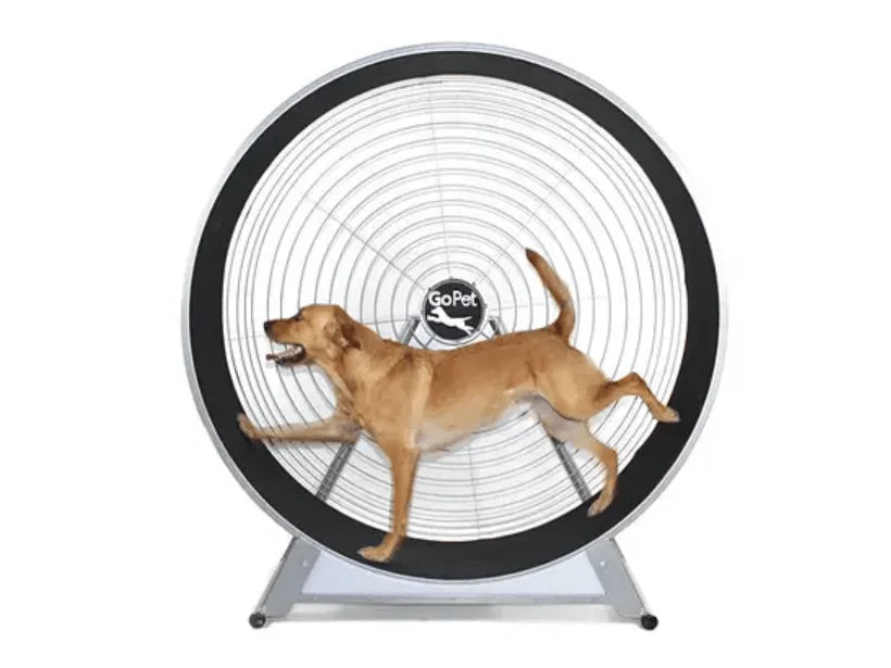 GoPet - TreadWheel For Large Dogs