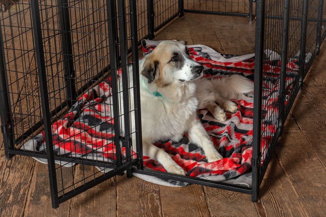 Lucky Dog - 4'W x 6'H Outdoor Pet Kennel with Cover