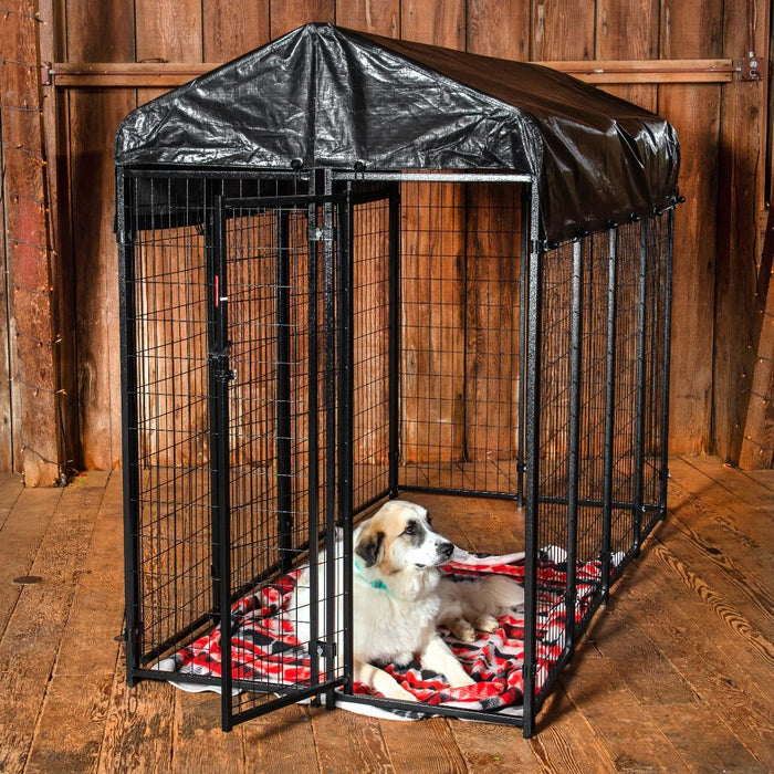 Lucky Dog - 4'W x 6'H Outdoor Pet Kennel with Cover