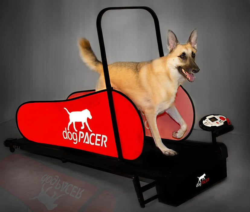 dogPACER  - Folding Dog Treadmill - LF 3.1