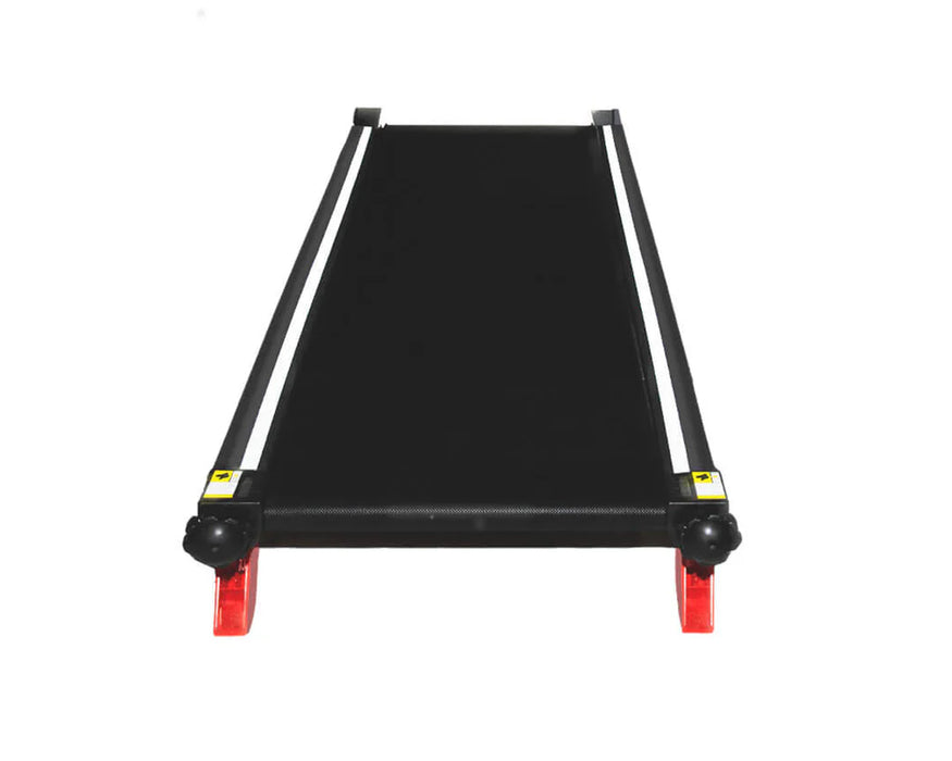 dogPACER - 4.0 Smart Electric Dog Treadmill