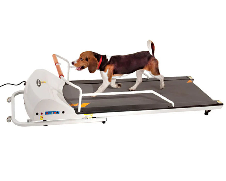 GoPet - PetRun RP720F Treadmill for Dogs up to 132 lbs