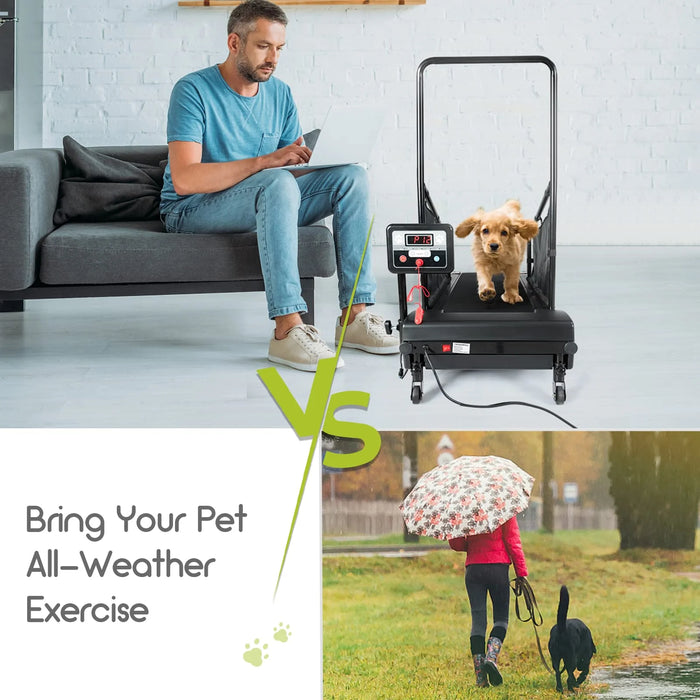 GYMAX - Dog Treadmills for Small/Medium Dogs - 220 LBS Pet Runner